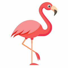 flamingo on white vector illustration, animal, isolated on white background