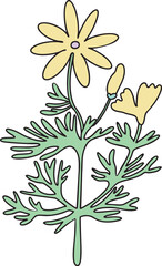 Field flower in pastel gentle colors. colorful vector illustration. Hand drawn sketch of blooming floral plant. Botanical art. Great for wedding decor, cards and invitations