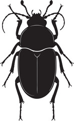 Cantharoid beetles insect in silhouette.