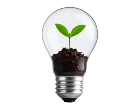 Eco innovation light bulb filled with soil and green sprout, isolated on transparent background PNG