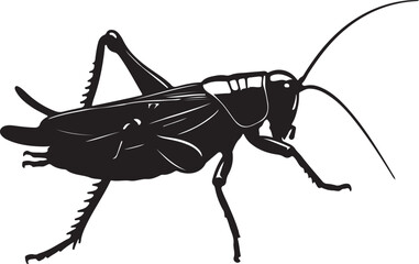  Cricket fly insect in silhouette image.