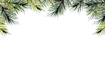 Watercolor hand drawn illstration of a evergreen fir tree Christmas branch isolated on white background