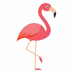 flamingo on white vector illustration, animal, isolated on white background