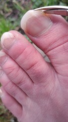 Obraz premium Close-up of a foot with long toenails being carefully trimmed with scissors, showcasing the nail care process and emphasizing personal grooming and hygiene practices