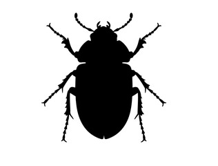 Generate full black vect of Dung beetle insect in silhouette image.