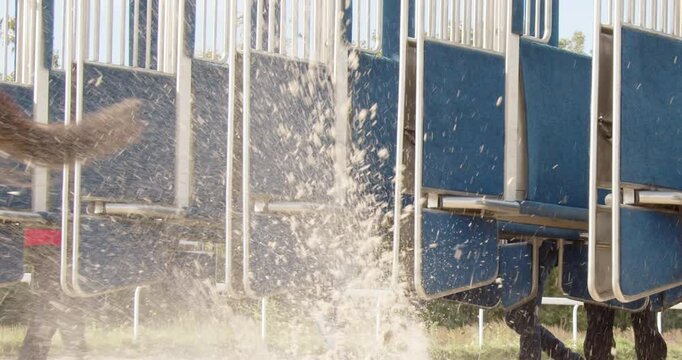 Jockeys on a horses running around a dirt track at day. 