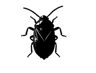  Mud dauber insect in silhouette image white background.