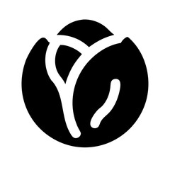 cabbage  icon is on white background