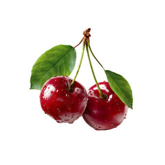 Two cherries isolated on white background