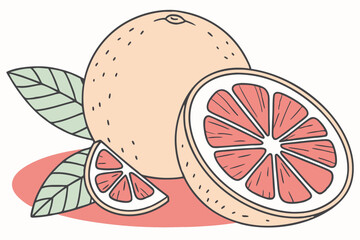 High Quality Vector Illustration of a Vibrant and Juicy Blood Orange