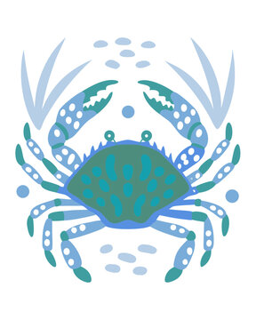 Stylized Blue Crab Illustration, Callinectes Sapidus