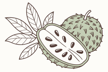 High Quality Vector Illustration of a Soursop Fruit