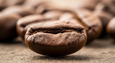 Close-up of a Roasted Coffee Bean, Detailed Texture and Depth