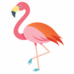 pink flamingo isolated on white