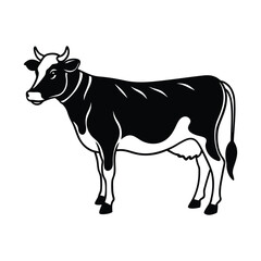 a standing cow in profile with a visible tail