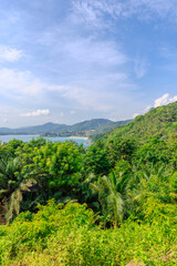 Obraz premium Views through lush green trees and palms over looking Kata and Kata Noi on the beautiful island of phuket in Thailand with lush green mountains and turquoise blue waters of the Andaman Sea