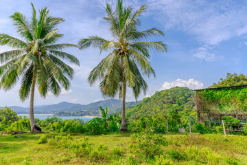 Views through lush green trees and palms over looking Kata and Kata Noi on the beautiful island of phuket in Thailand with lush green mountains and turquoise blue waters of the Andaman Sea