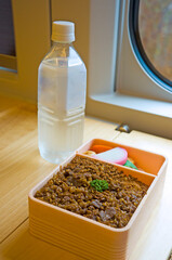 Japanese Meal Box (Bento) on a Japanese Bullet train.