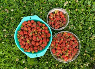 red strawberry in a bowl