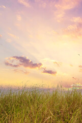 Fototapeta premium Vertical Horizon Blue golden sky sunrise dramatic beautiful landscape mountain. Dawn sky gold time cloudscape. Vertical Dramatic sunset over mountain landscape. Beautiful landscape fog morning hills