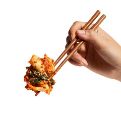 Hand using chopsticks to pick up Kimchi Korean pickle seasoning on white and transparent background