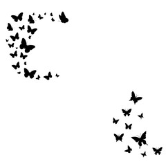 black silhouettes of butterflies__Minimalist butterflies symbol isolated in white background