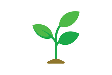 Fototapeta premium green plant growing from a tree