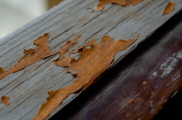 Close up of painted wooden surface shows aging and peeling paint texture with cracks in the old...