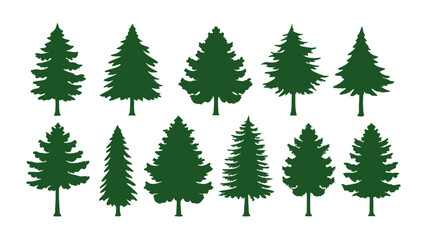 Fototapeta premium A row of evergreen tree silhouettes in various sizes