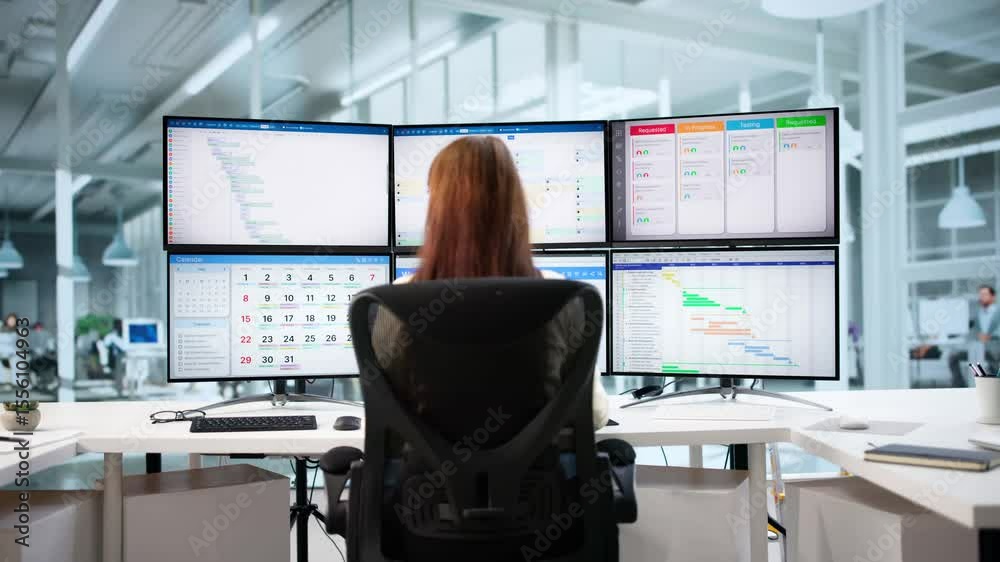 Poster female project manager using desktop software