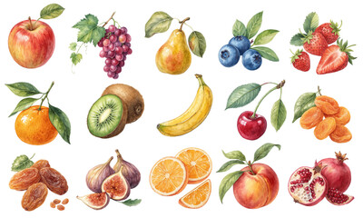 Watercolor Clipart Set of Fresh and Dried Fruits Collection