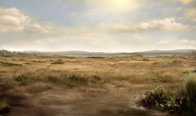 Fototapeta premium Peaceful marshland at midday quiet nature