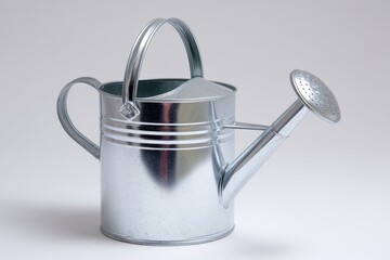 Shiny Silver Watering Can Featuring Rose Spout for Urban Gardening Care