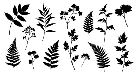Black silhouette botanical vector illustration for nature and garden design in flat style