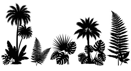 Obraz premium Tropical silhouettes vector illustration for nature design, print, poster, wall art in flat style
