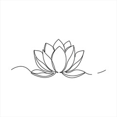 Lotus flower delicate bloom petals water