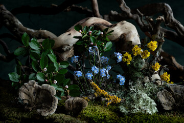 Delicate spring flowers bloom in a romantic composition, infused with mystery and freshness. Soft petals and enchanting hues create a dreamy and poetic atmosphere