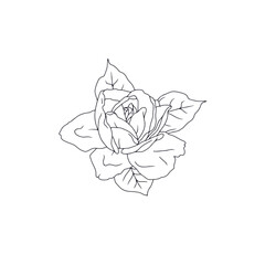 Hand drawn black and white line art rose flower with leaves isolated on white background. romantic botanical vector illustration