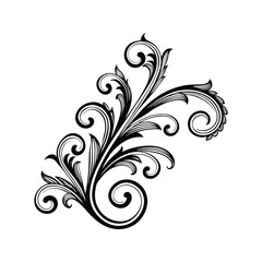 Intricate leaf pattern silhouette isolated on white background