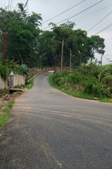 Curved Rural Road Surrounded by Lush Green Foliage on a Calm Day