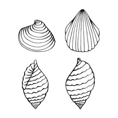 Set of seashells. Hand drawn vector illustration.
