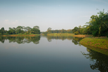 Peaceful Lakeside Scenery with Trees and Clear Reflections Under Blue Sky