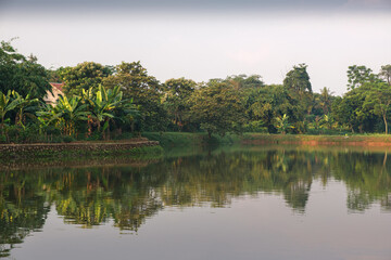 Tranquil Tropical Lakeside Scene with Lush Greenery Reflected in Clear Waters