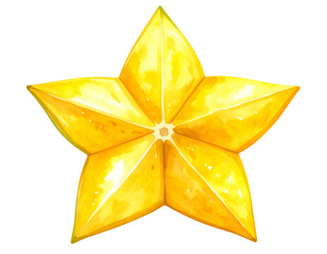 watercolor starfruit slice in top view with bright yellow tropical fruit shape on isolated background for healthy food and botanical illustration
