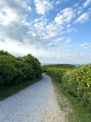 Montauk Point Hedge Path