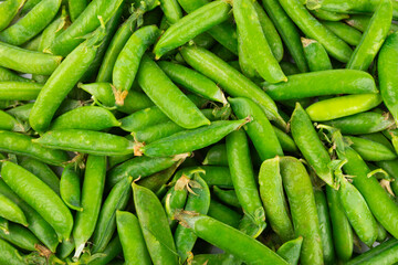 Fresh green pea pods with green peas isolated on white background. Sweet green peas. Green pea beans vegetables. Vegan. healthy vegetable