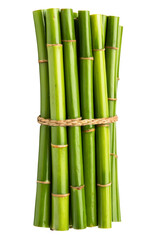 Fototapeta premium A bundle of fresh green bamboo stalks tied with rope isolated with transparent background