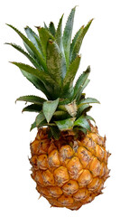 a pineapple isolated on a transparent background