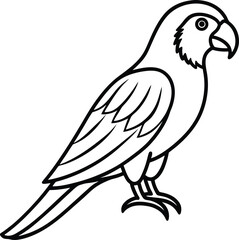 Black Outline Parrot Vector with Long Tail and Perch