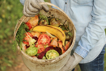 Zero waste, composting, bio waste, separate waste collection concept. Farmer hands with vegetable...